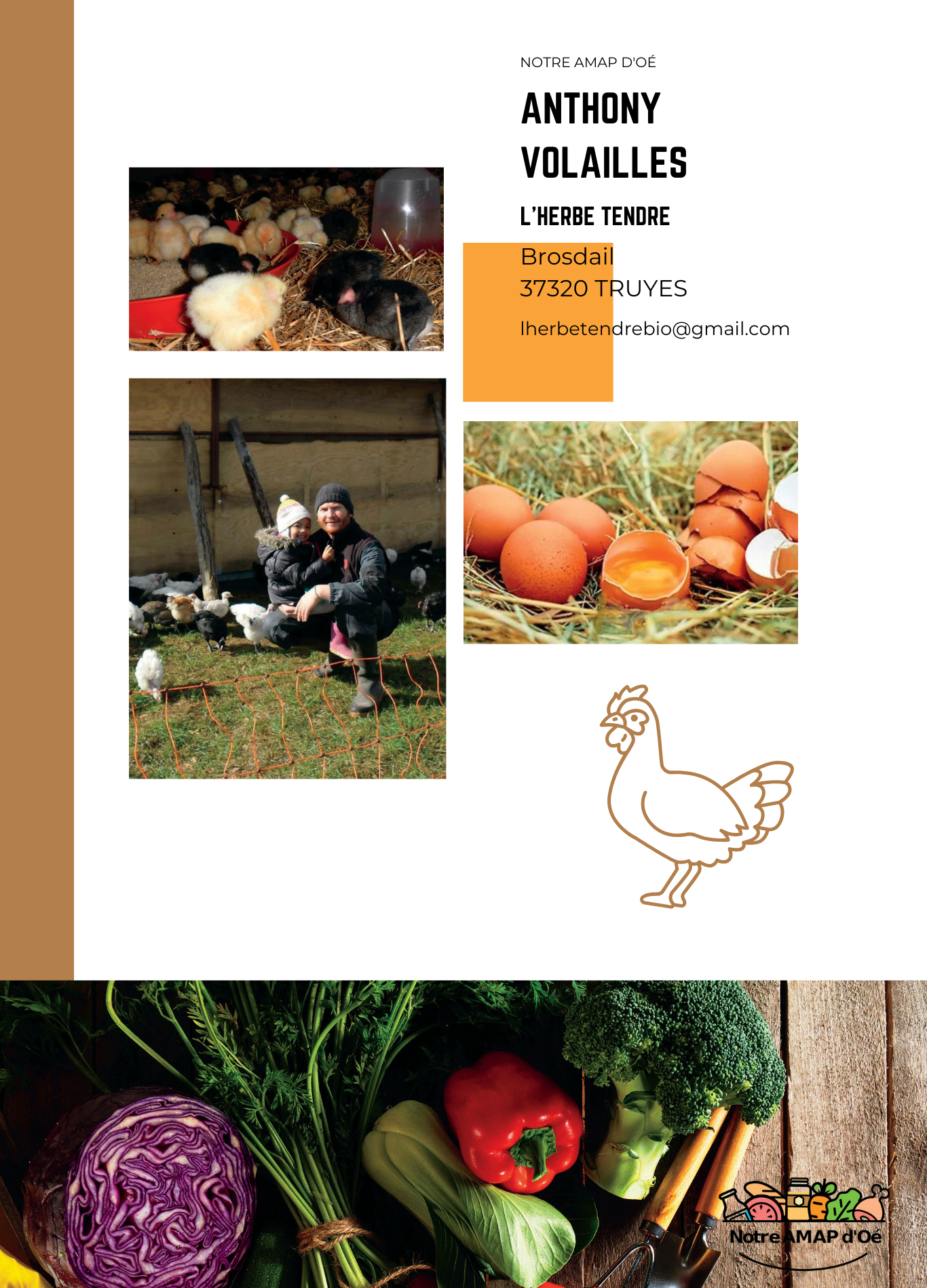 Anthony - Volailles.png